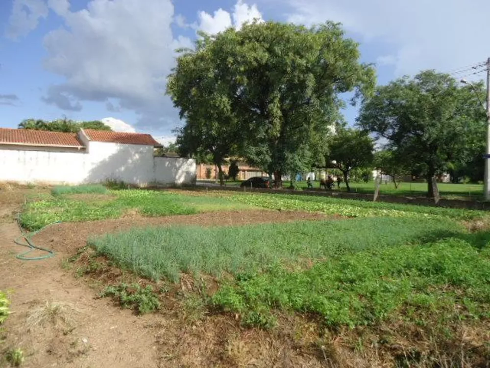 Terreno à venda, 457M2 - Foto 5