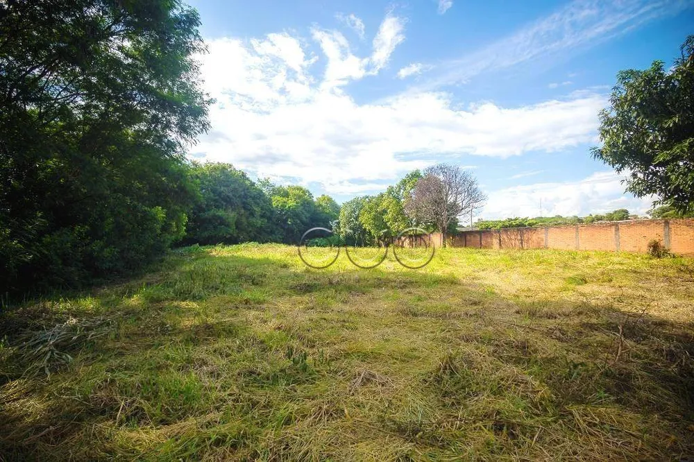 Depósito-Galpão, 5000 m² - Foto 6