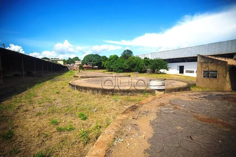 Depósito-Galpão-Armazém à venda e aluguel, 5000m² - Foto 4