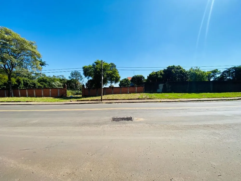 Terreno, 3 hectares - Foto 4
