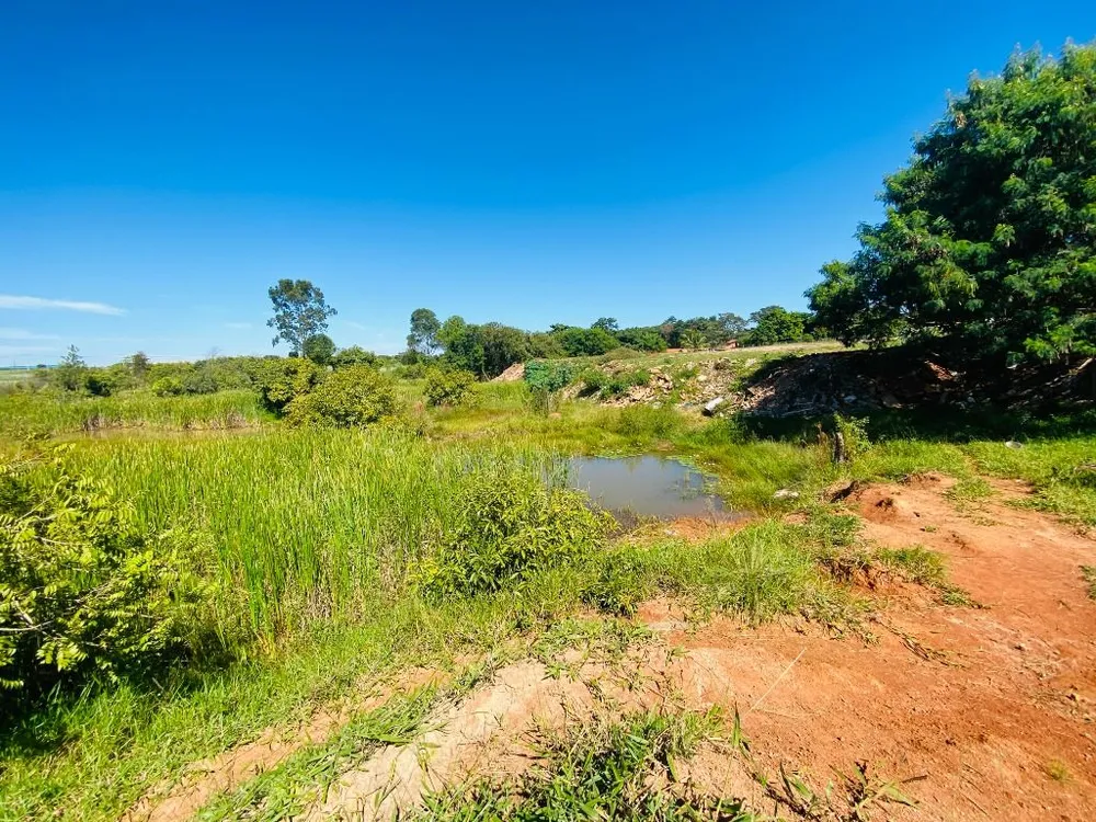 Terreno, 3 hectares - Foto 6