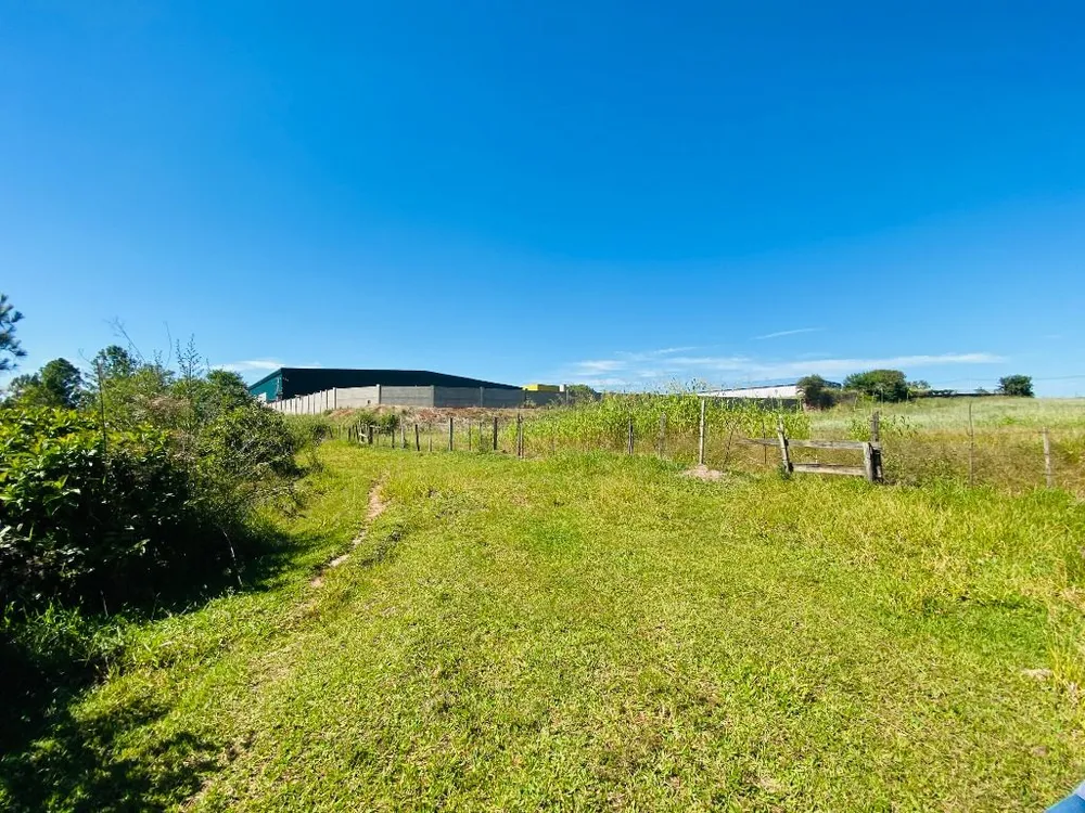 Terreno, 3 hectares - Foto 8