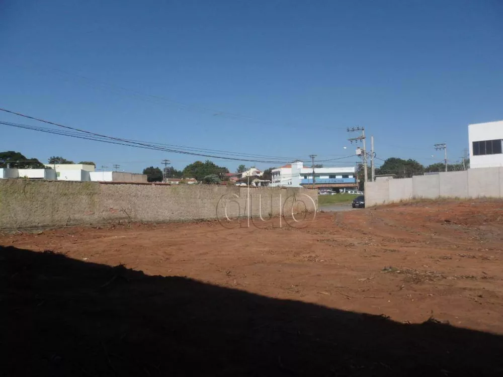 Terreno para alugar, 2280M2 - Foto 4