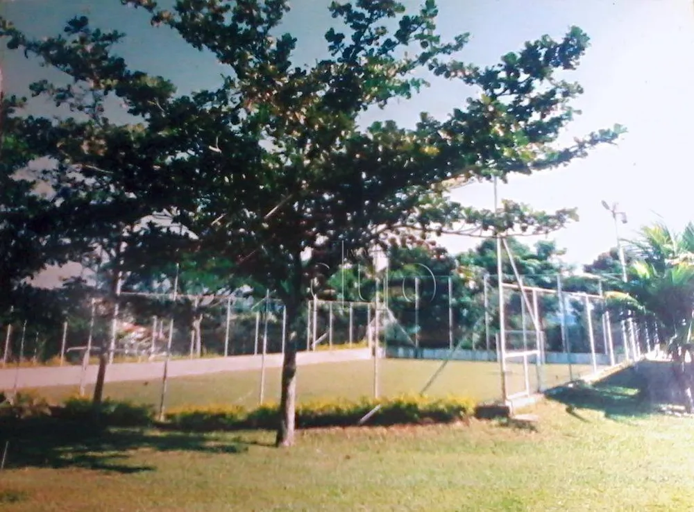 Fazenda, 3 hectares - Foto 10