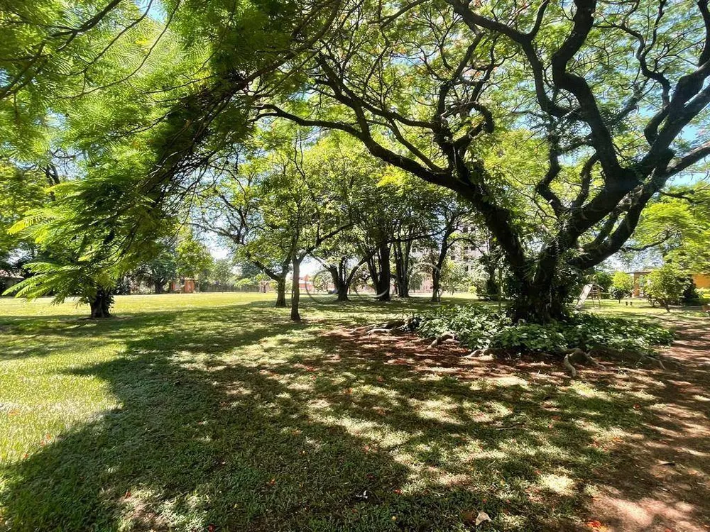 Terreno, 1 hectares - Foto 15