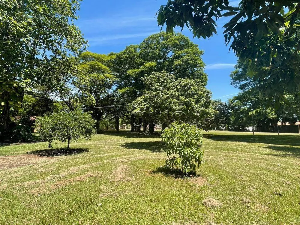 Terreno, 1 hectares - Foto 4