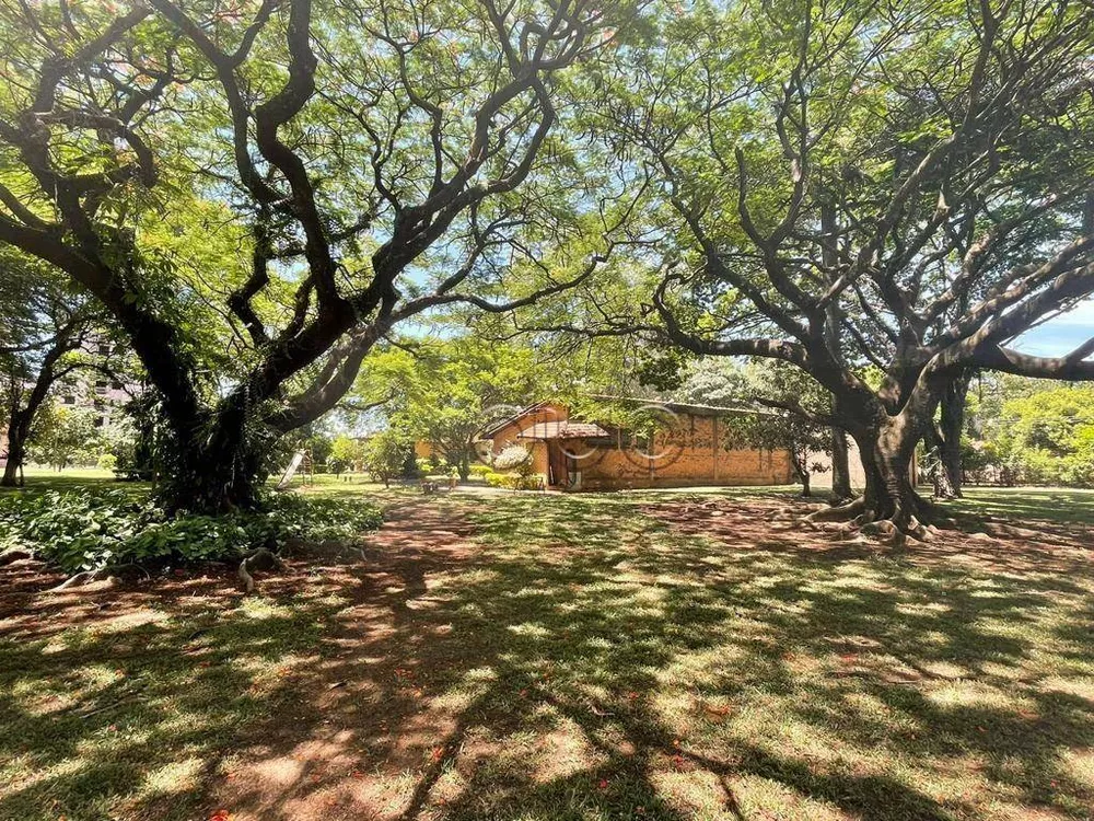Terreno, 1 hectares - Foto 7