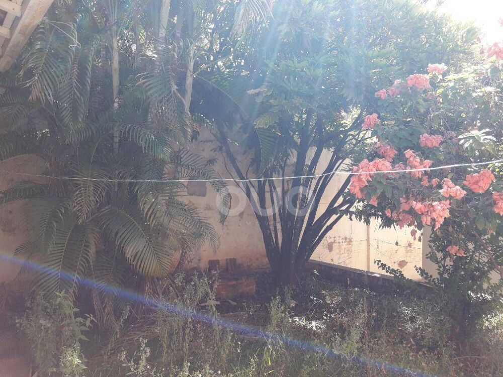 Casa, 4 quartos, 270 m² - Foto 4