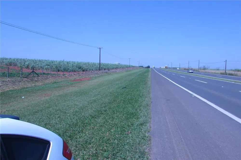 Terreno, 3 hectares - Foto 4