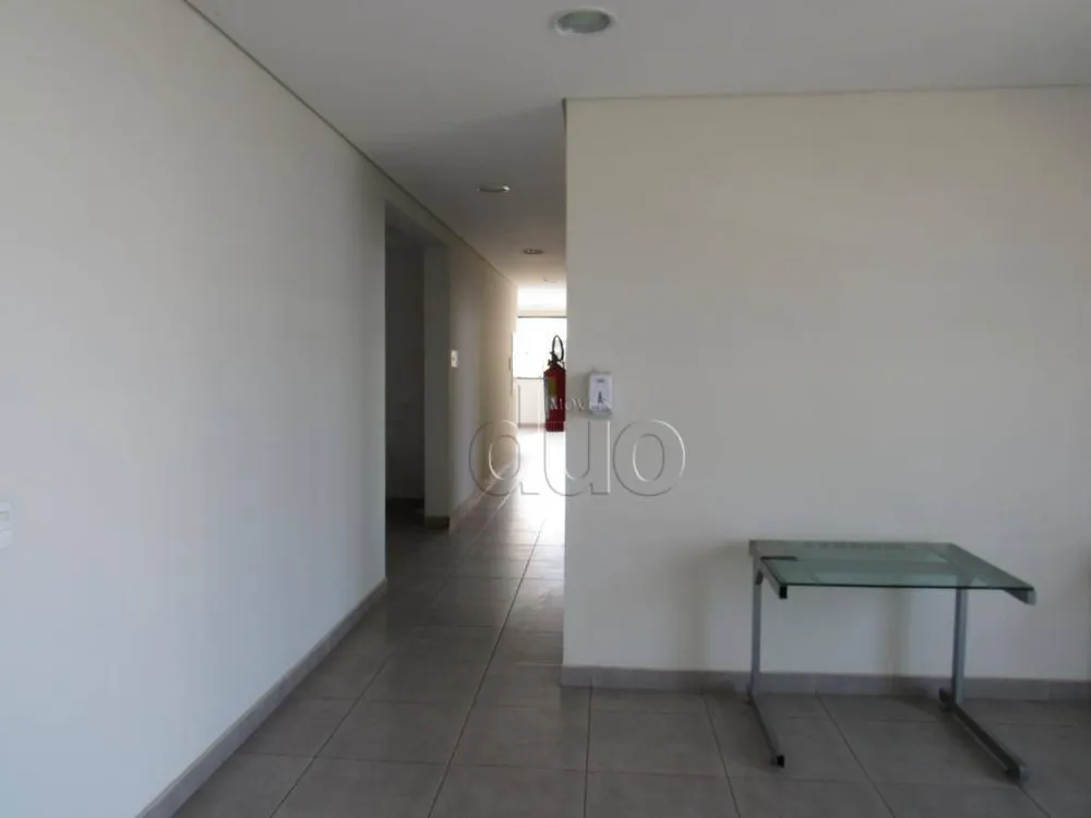 Depósito-Galpão, 5042 m² - Foto 3