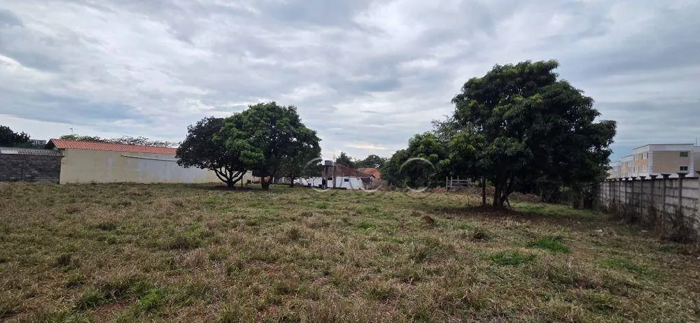 Terreno, 4100 m² - Foto 2