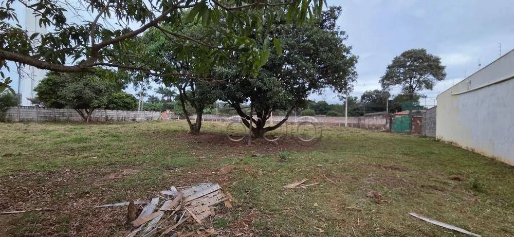 Terreno, 4100 m² - Foto 4