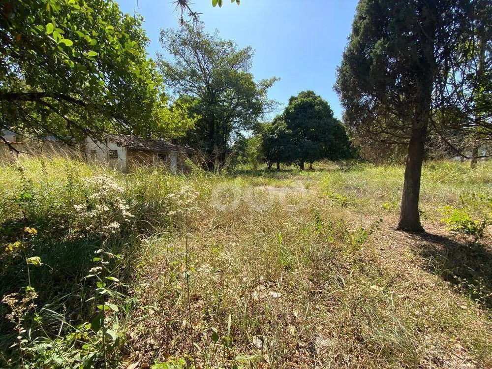 Terreno, 4335 m² - Foto 5