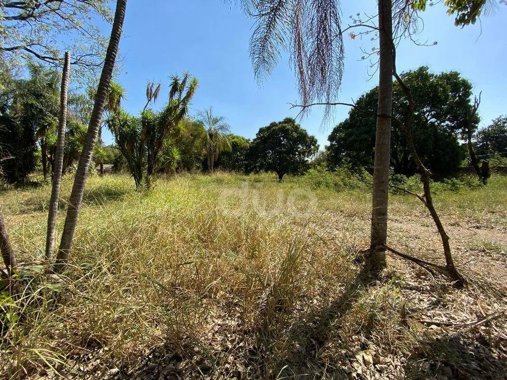 Terreno, 4335 m² - Foto 7
