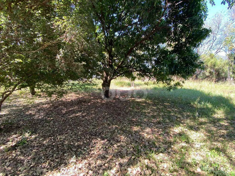 Terreno, 4335 m² - Foto 4