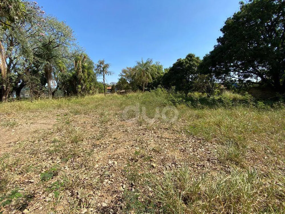 Terreno, 4335 m² - Foto 8