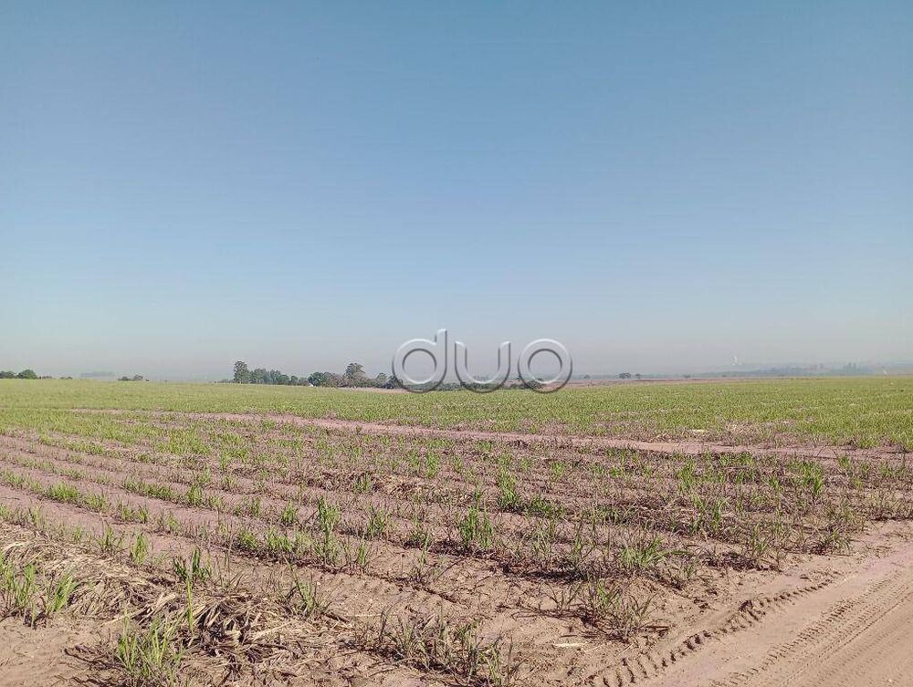 Fazenda, 121 hectares - Foto 2