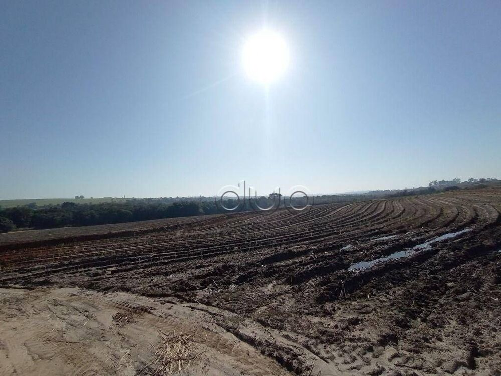 Fazenda, 121 hectares - Foto 3