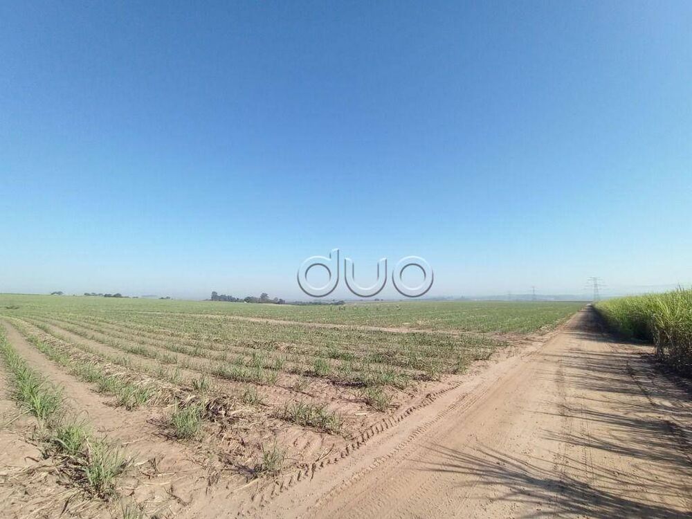 Fazenda, 121 hectares - Foto 7