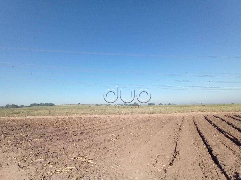 Fazenda, 121 hectares - Foto 8