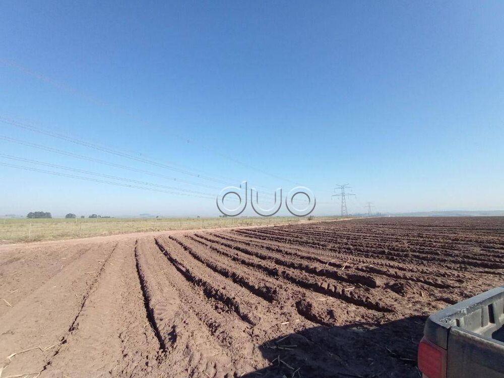 Fazenda, 121 hectares - Foto 1