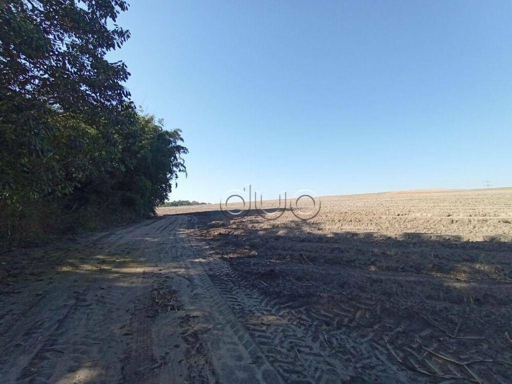 Fazenda, 121 hectares - Foto 4