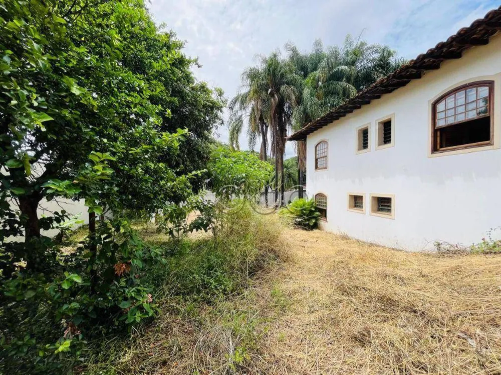 Casa, 4 quartos, 420 m² - Foto 5