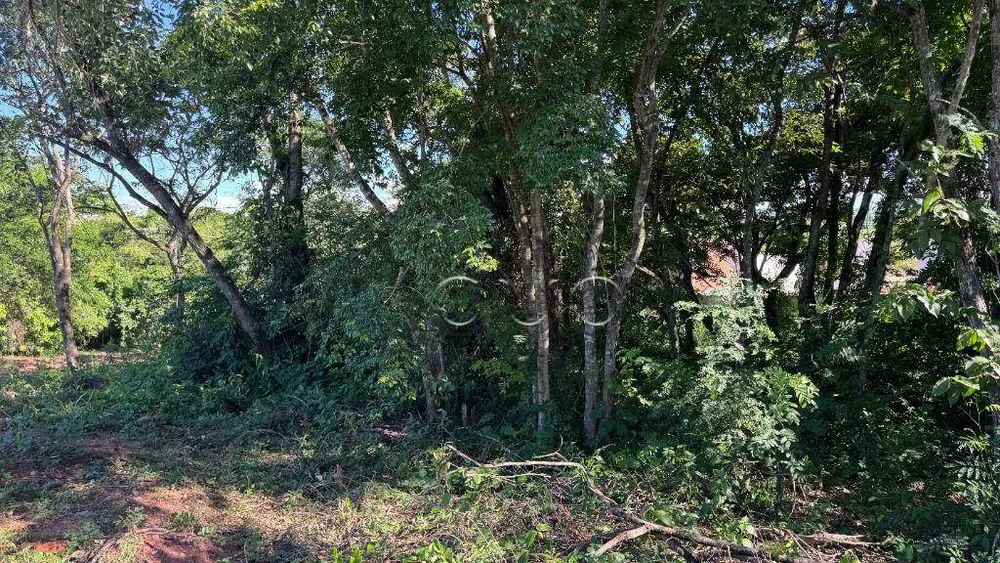 Terreno, 264 m² - Foto 6