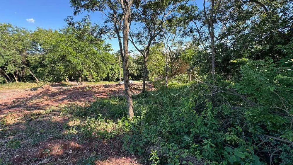Terreno, 264 m² - Foto 7
