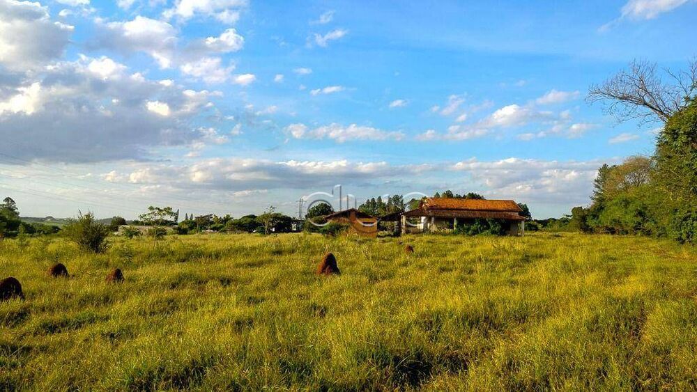 Terreno, 5 hectares - Foto 1