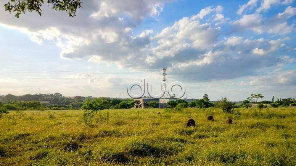Terreno, 5 hectares - Foto 3