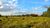 Terreno, 5 hectares - Foto 1