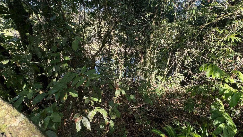 Chácara, 5 quartos, 5000 m² - Foto 17