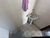 Apartamento, 3 quartos, 101 m² - Foto 3