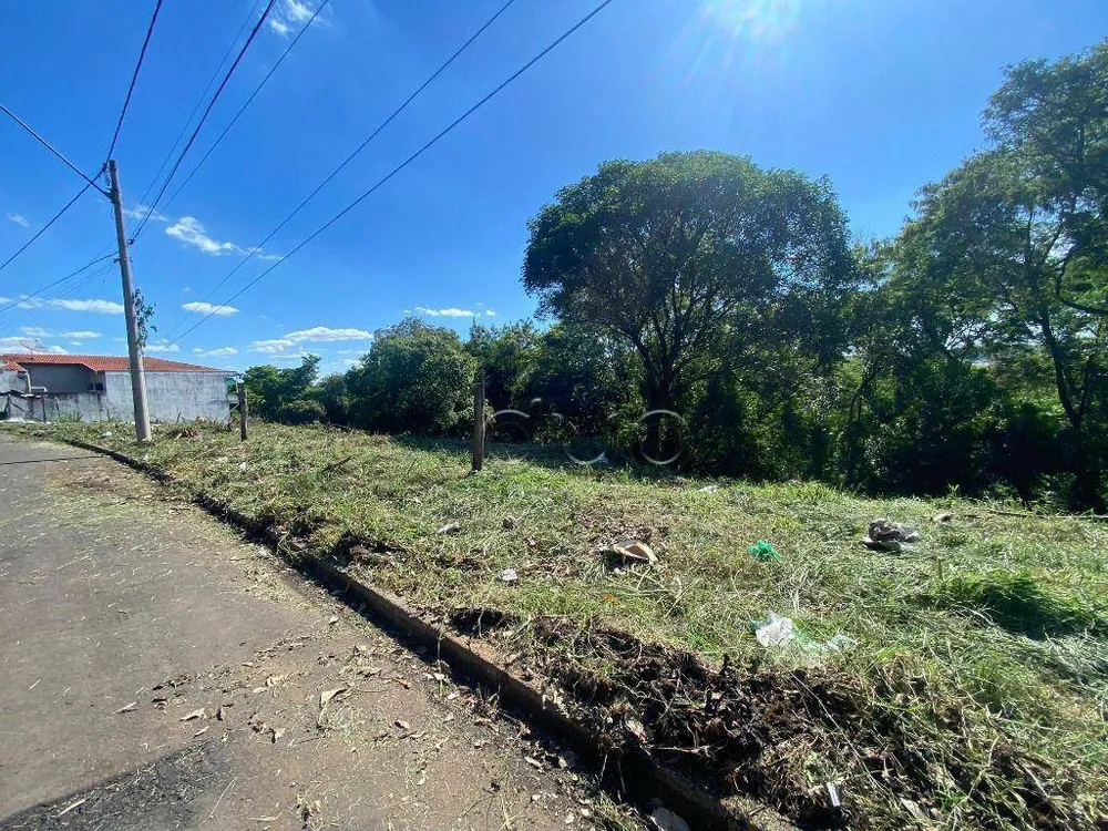 Terreno, 250 m² - Foto 4