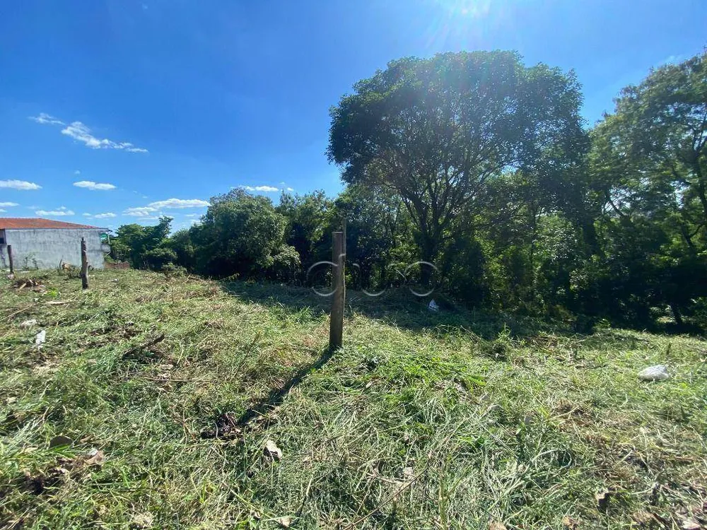 Terreno, 250 m² - Foto 5