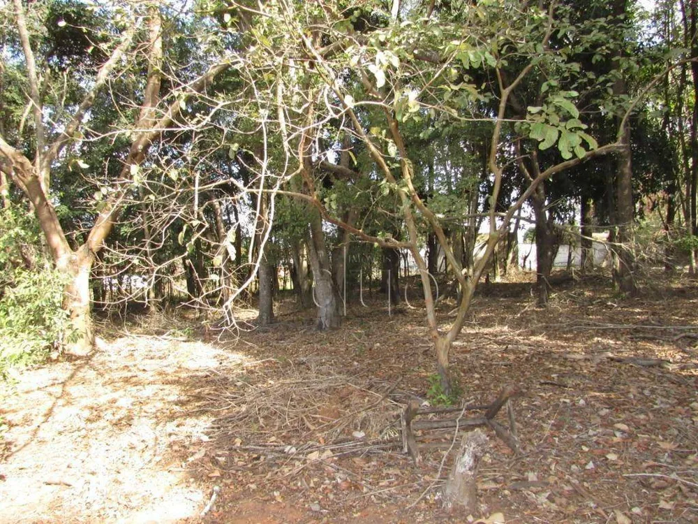 Terreno, 8870 m² - Foto 8