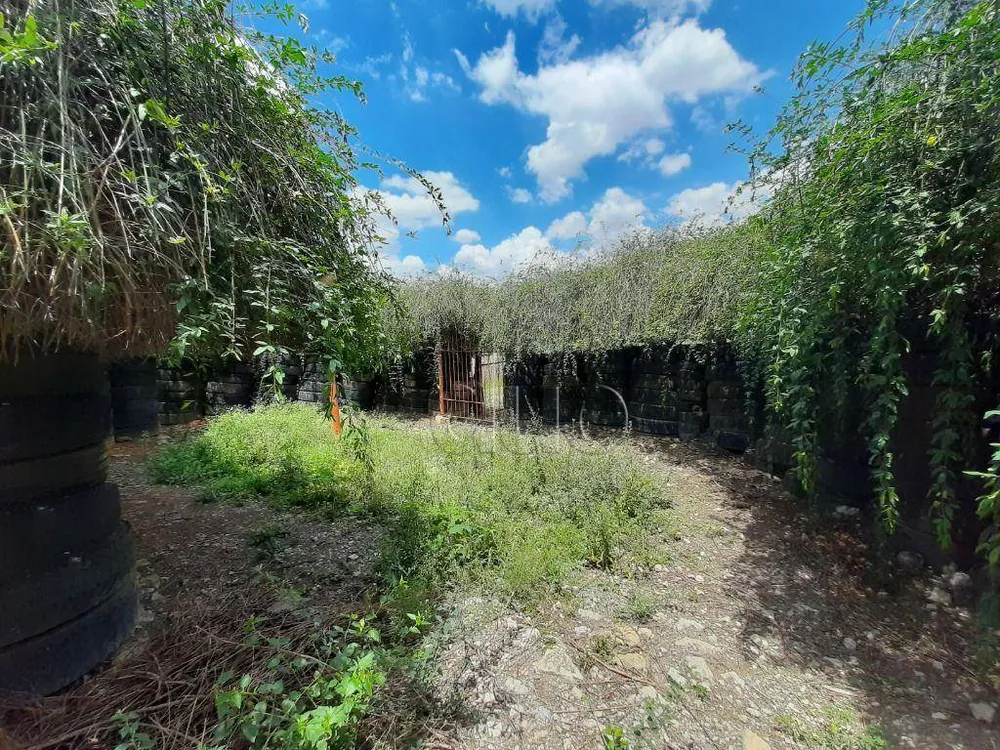 Sítio, 3 quartos, 8 hectares - Foto 9