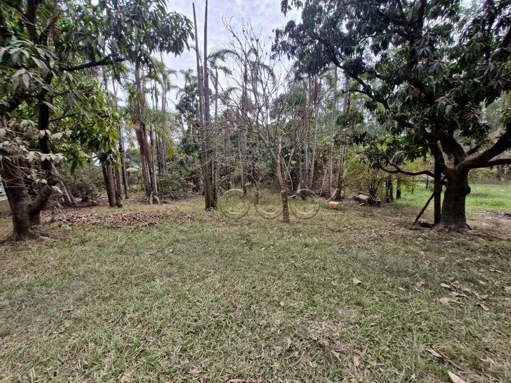 Sítio, 3 quartos, 14 hectares - Foto 7