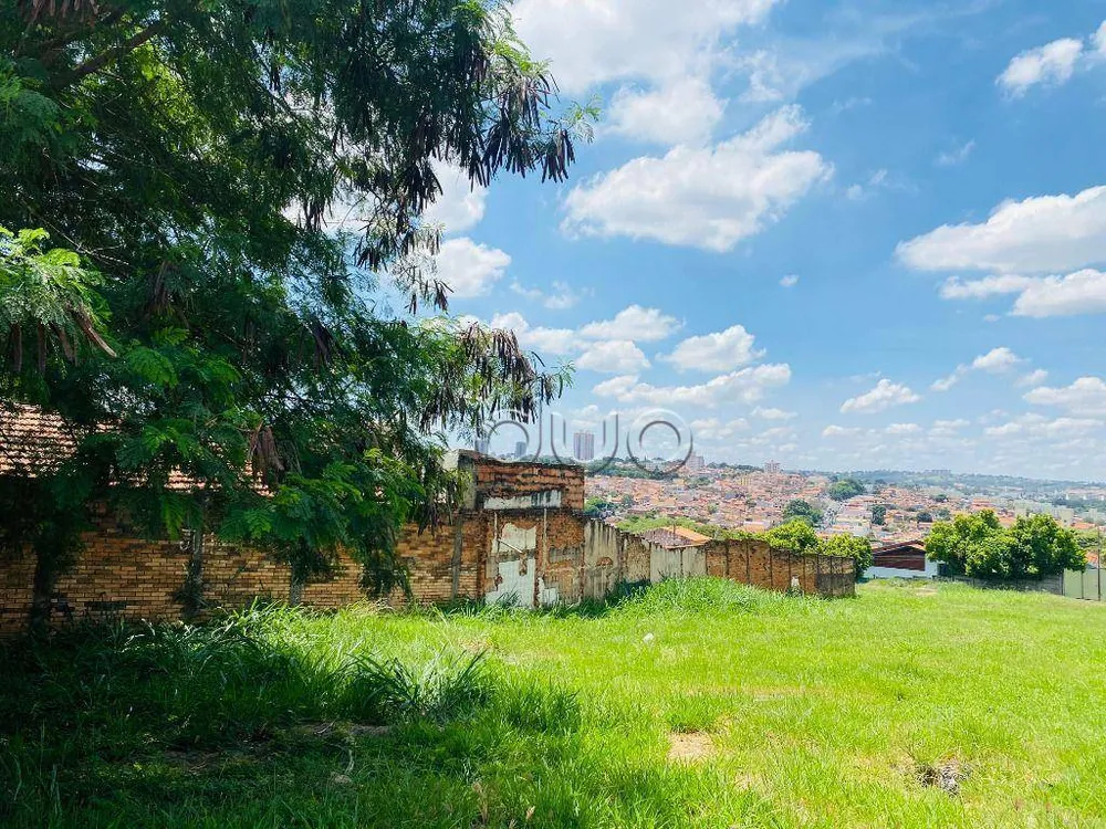 Terreno, 3138 m² - Foto 11