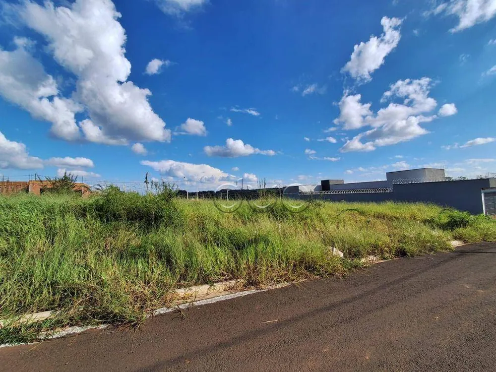 Terreno, 250 m² - Foto 2