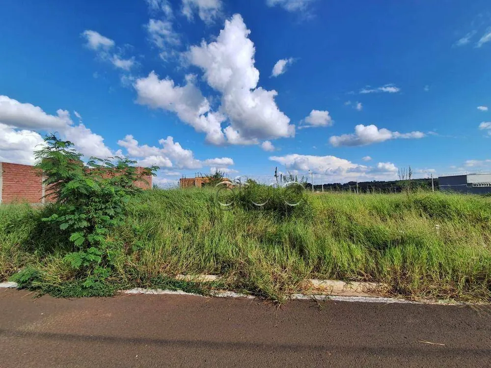 Terreno, 250 m² - Foto 3