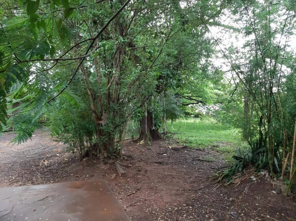 Terreno, 2 hectares - Foto 4