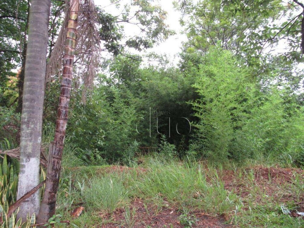 Terreno, 2 hectares - Foto 3