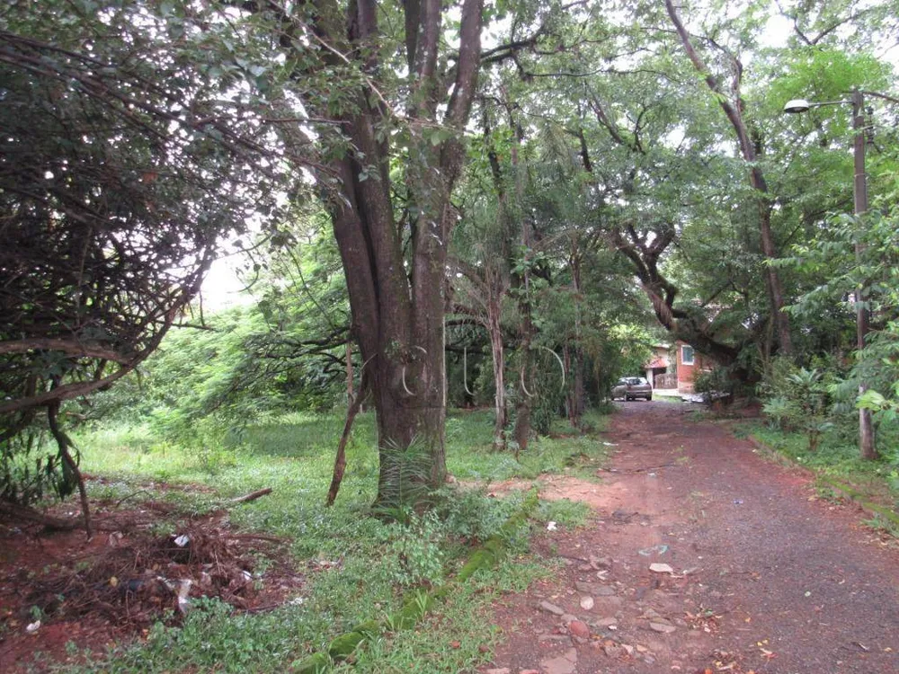 Terreno, 2 hectares - Foto 9
