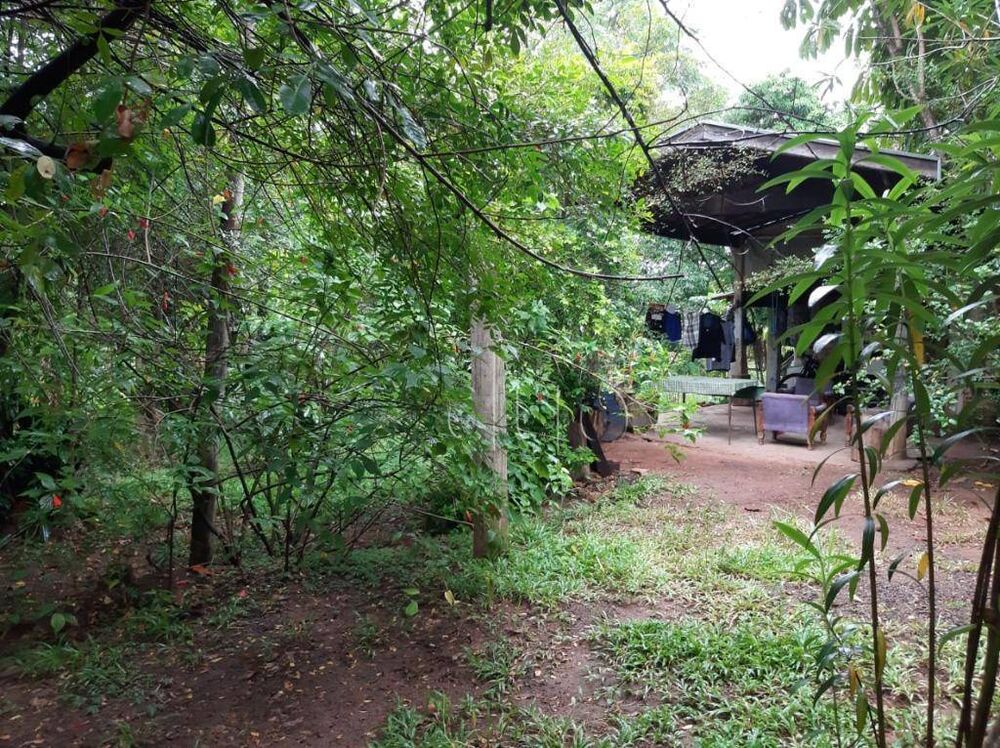 Terreno, 2 hectares - Foto 2