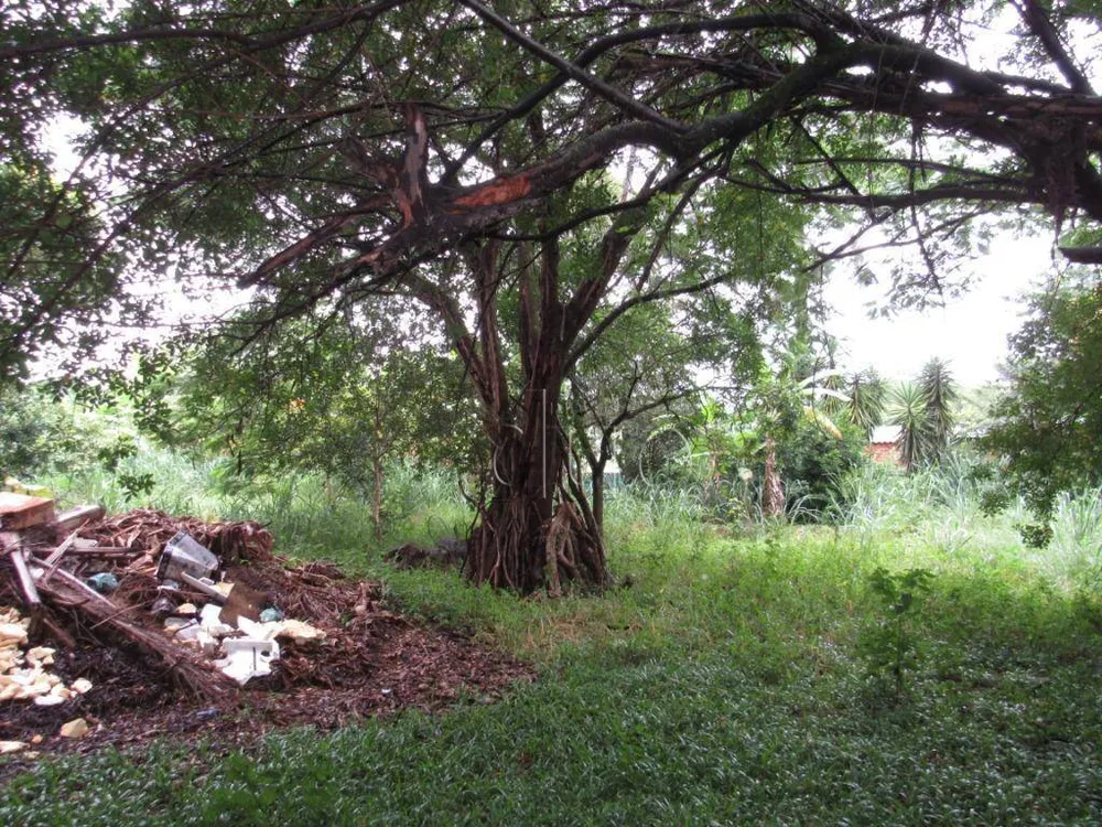 Terreno, 2 hectares - Foto 6