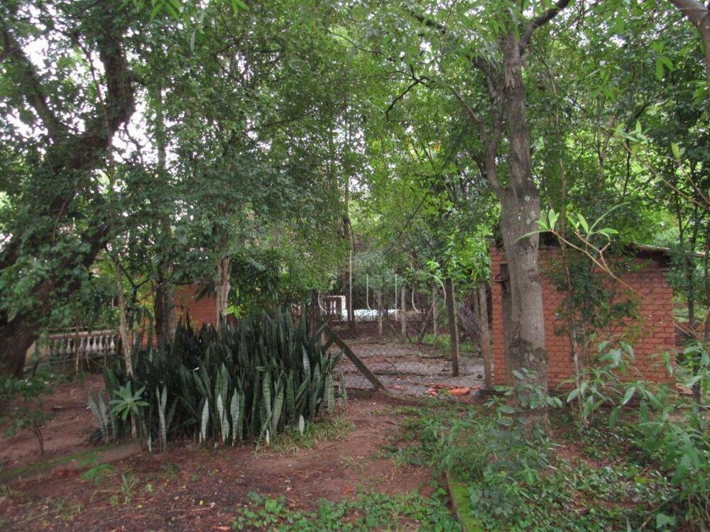 Terreno, 2 hectares - Foto 4