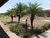 Sala-Conjunto, 816 m² - Foto 1