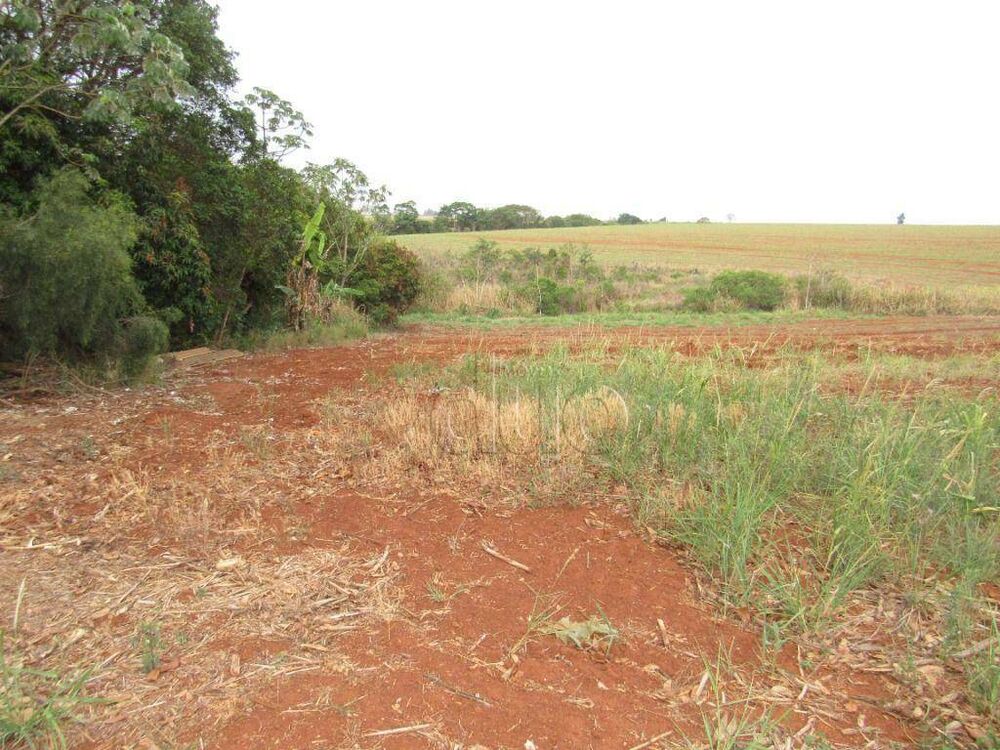 Terreno, 2 hectares - Foto 9